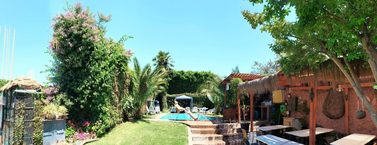 Hotel De Talca タルカ エクステリア 写真