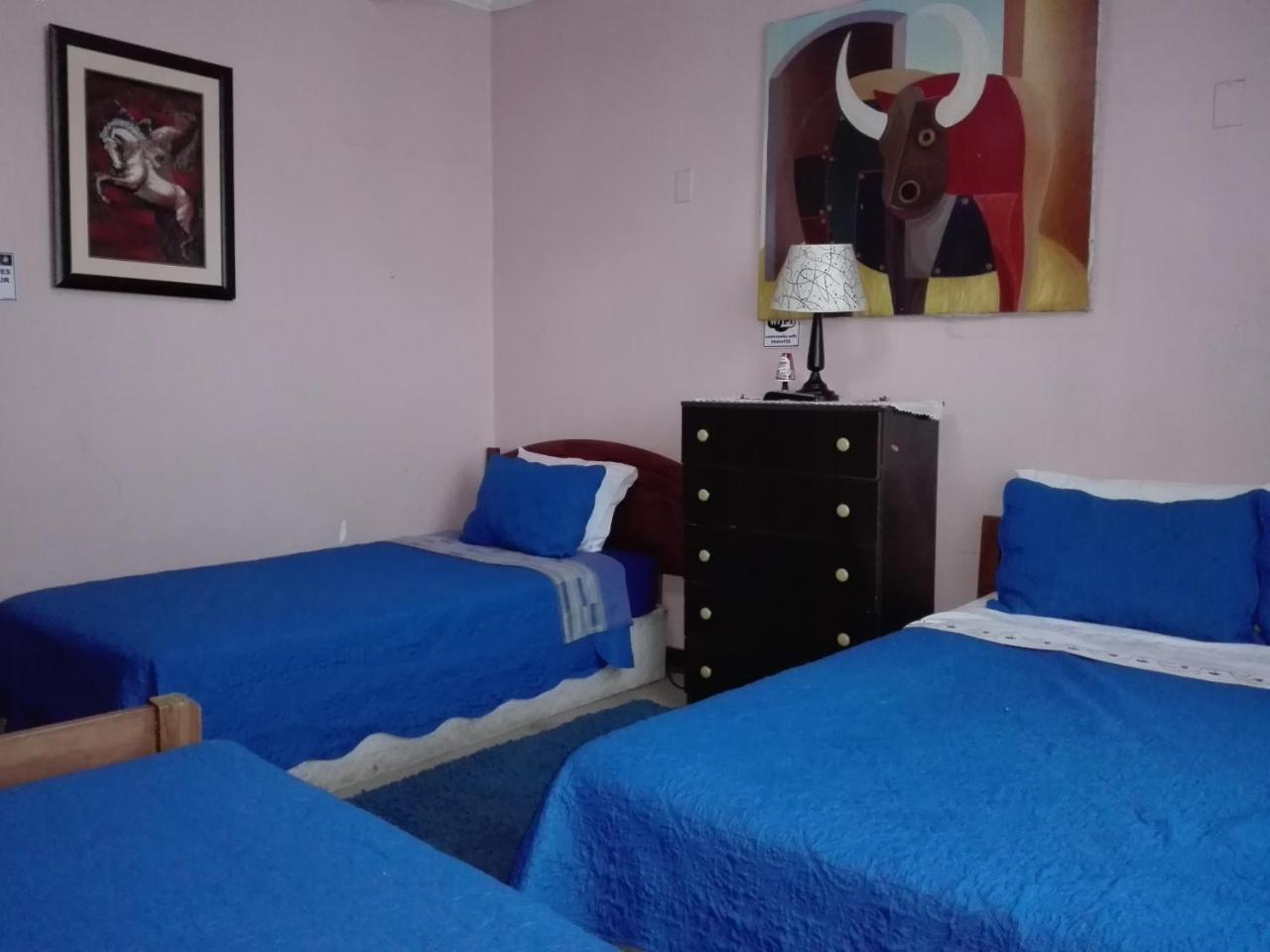 Hotel De Talca タルカ エクステリア 写真